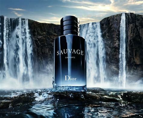 best dior sauvage for summer